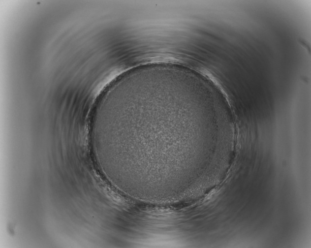 X0000102310975200808011559