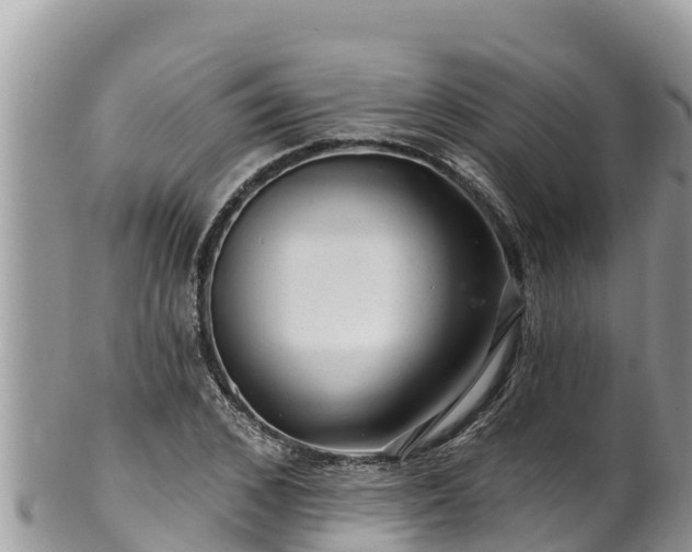 X0000102310976200808011559