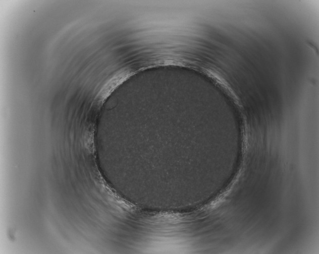 X0000102310977200808011559