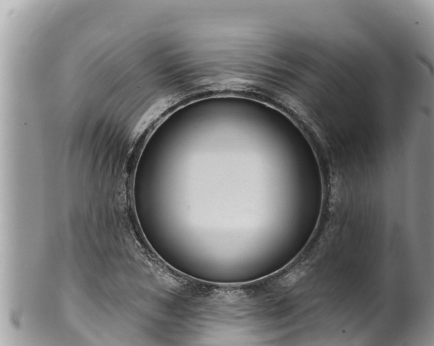 X0000102310978200808011559