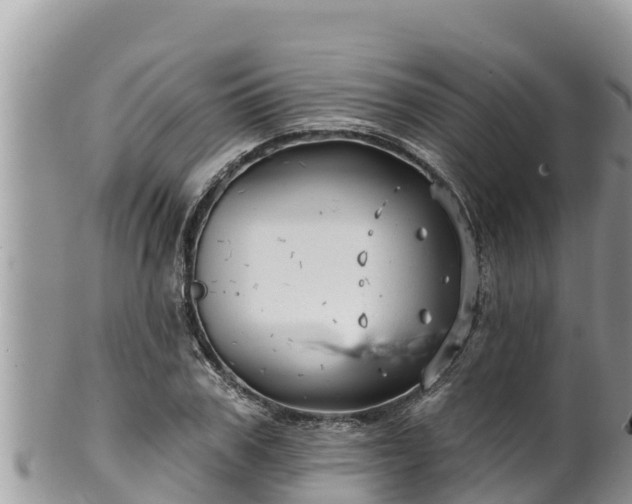 X0000102310979200808011559