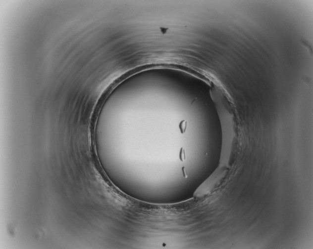 X0000102310980200808011559