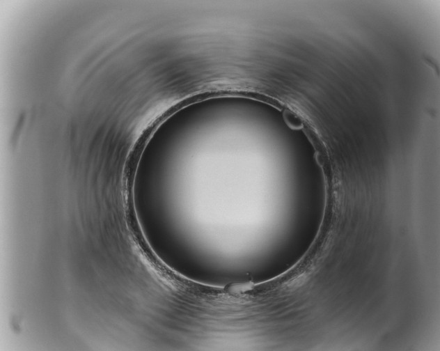 X0000102310981200808011558