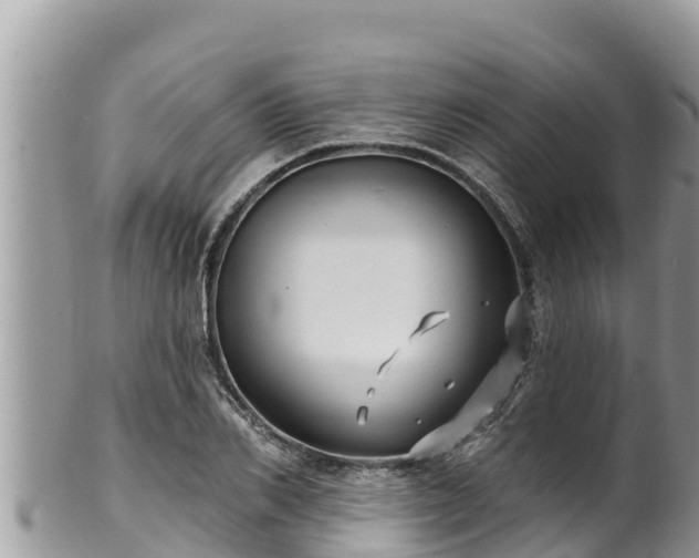 X0000102310982200808011558