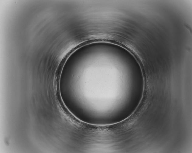 X0000102310983200808011558