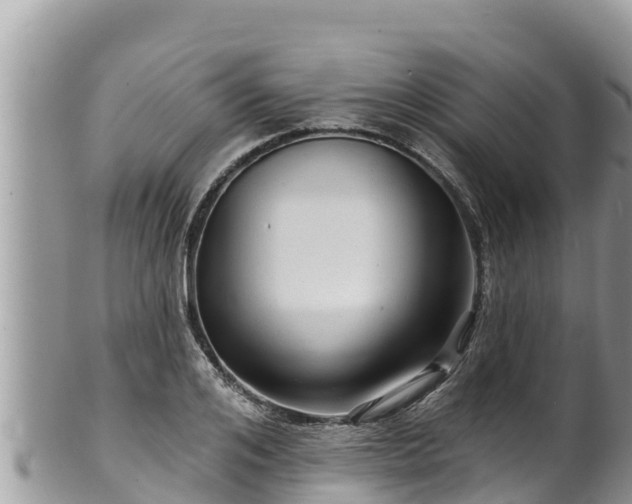 X0000102310984200808011558