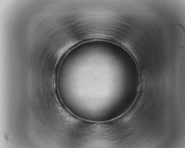 X0000102310987200808011558