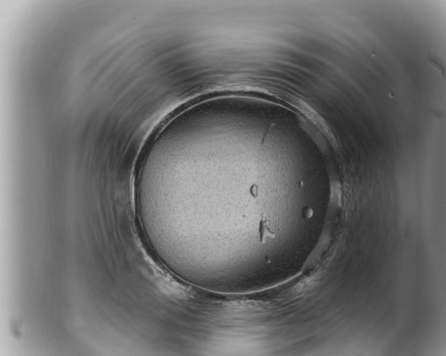 X0000102310988200808011558