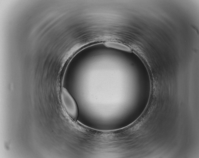 X0000102310989200808011558