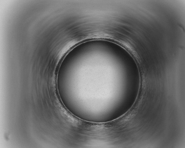 X0000102310990200808011558