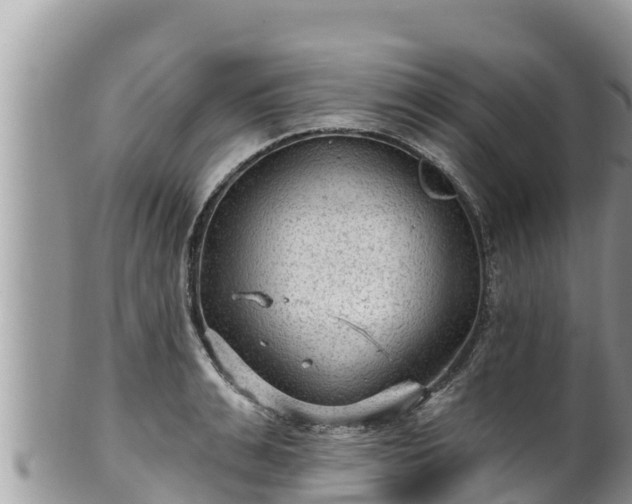 X0000102310991200808011558