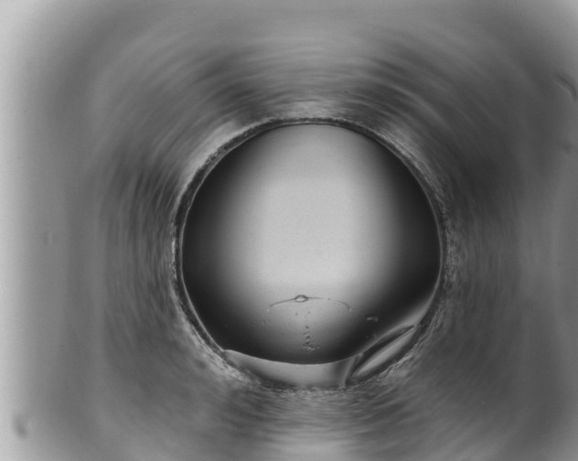 X0000102310992200808011558