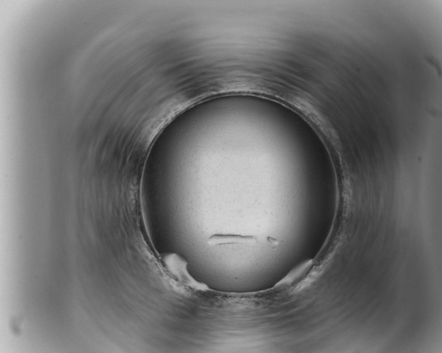 X0000102310993200808011558