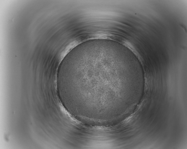 X0000102310994200808011558