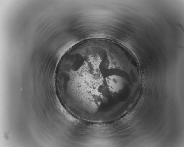 X0000102310995200808011558