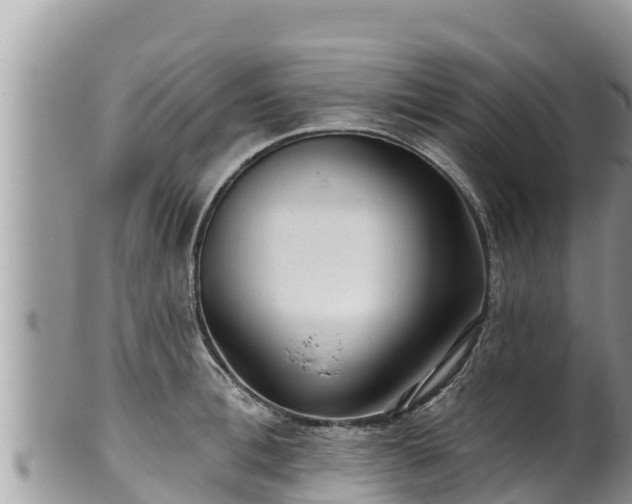 X0000102310996200808011558