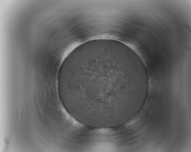 X0000102310998200808011558