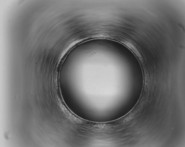 X0000102311000200808011558