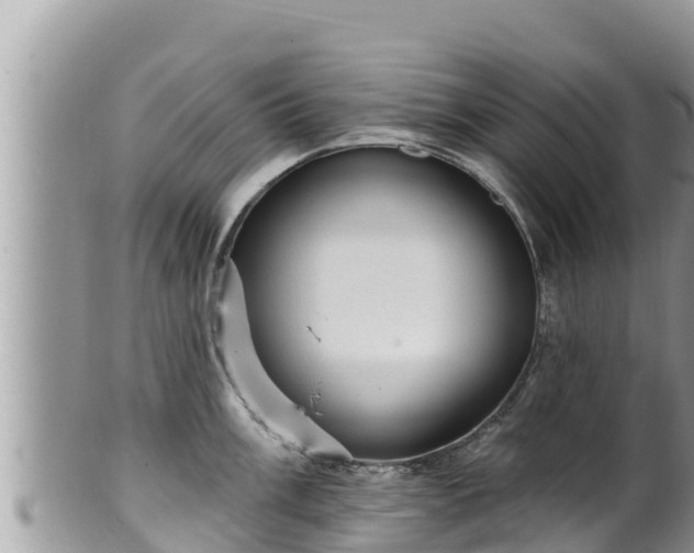 X0000102311003200808011558