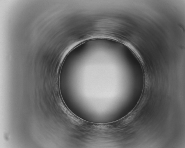 X0000102311004200808011558