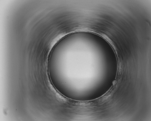 X0000102311005200808011558