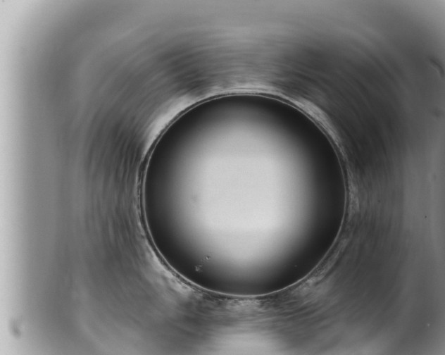 X0000102311006200808011558