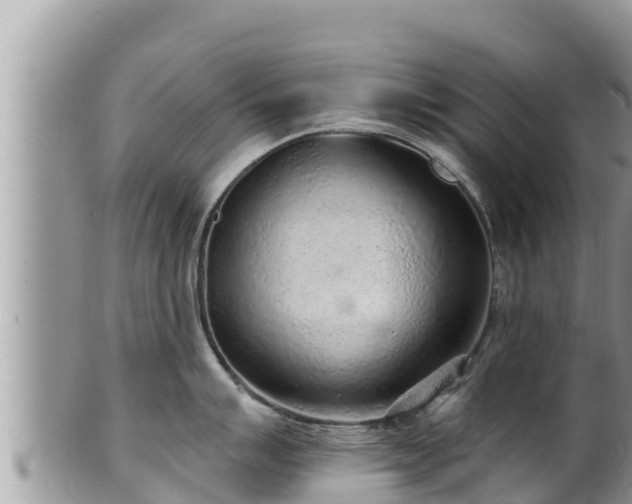 X0000102311007200808011558