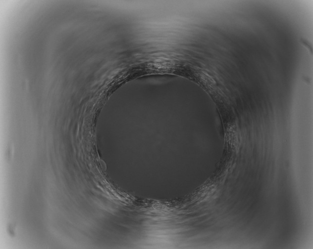 X0000102311009200808011557