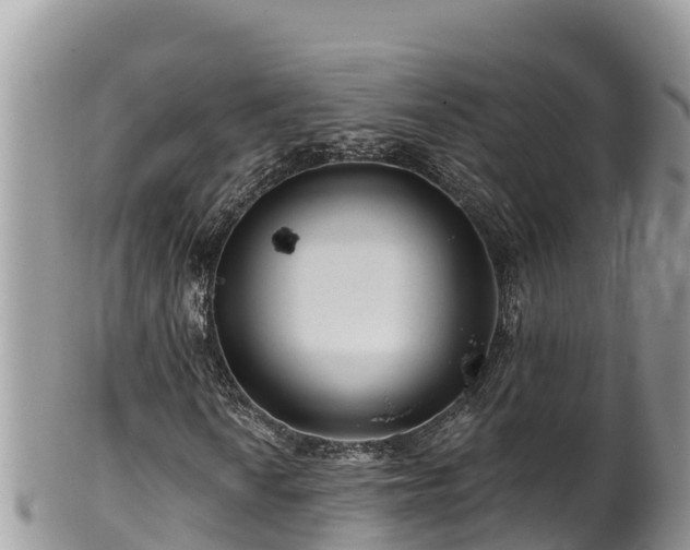 X0000102311010200808011557