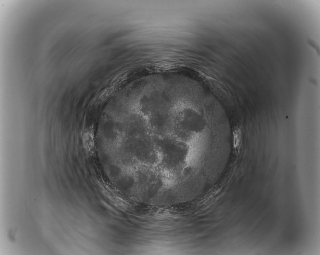 X0000102311011200808011557