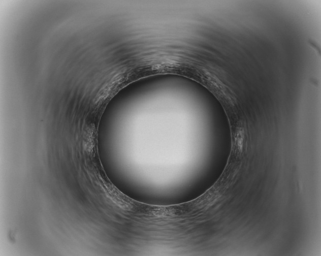 X0000102311012200808011558