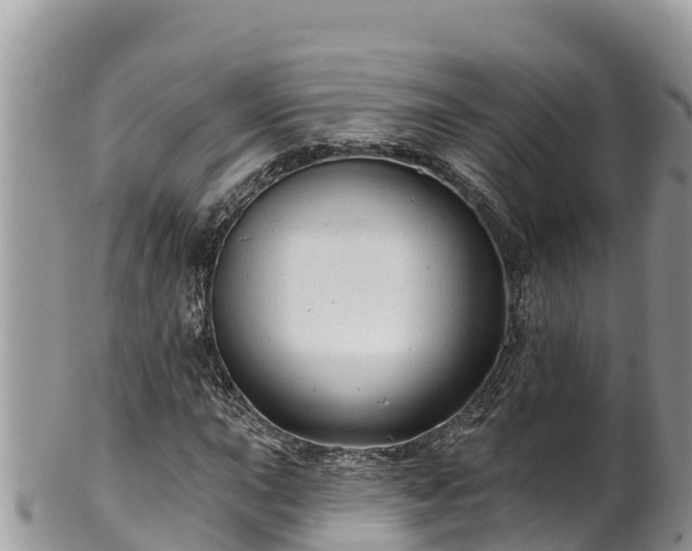 X0000102311015200808011558