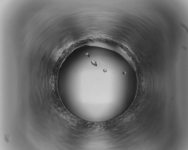 X0000102311016200808011558