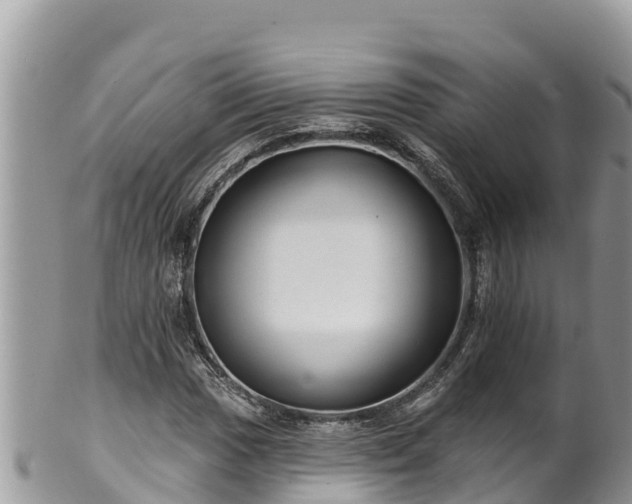 X0000102311017200808011558