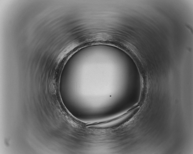 X0000102311018200808011558