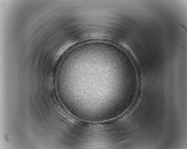 X0000102311019200808011558