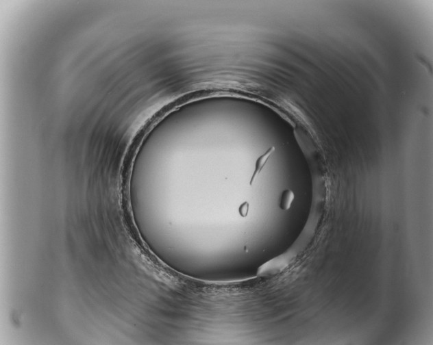 X0000102311020200808011558