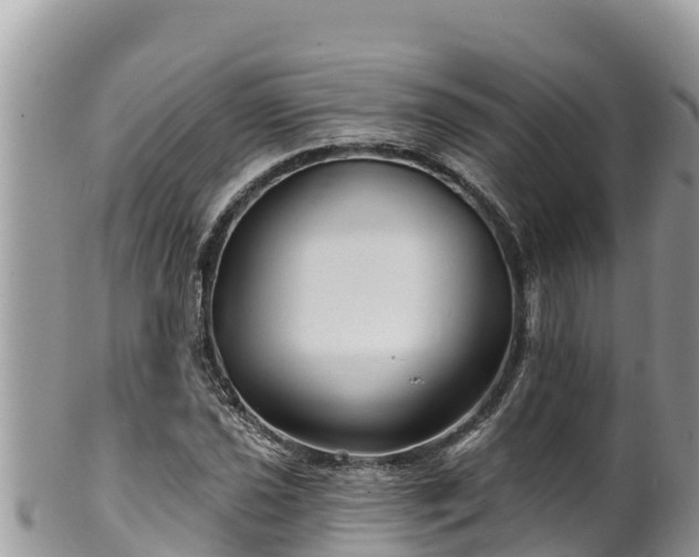 X0000102311021200808011558