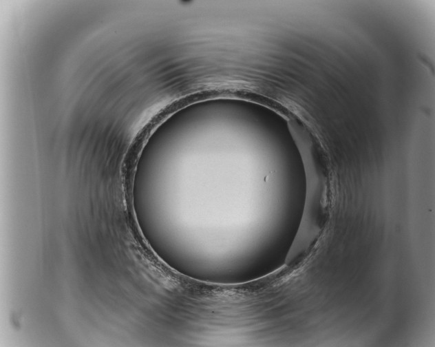 X0000102311022200808011558