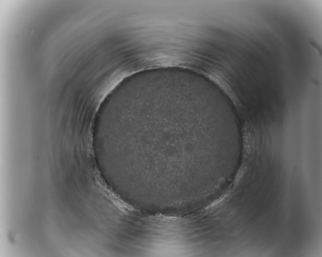 X0000102311023200808011558