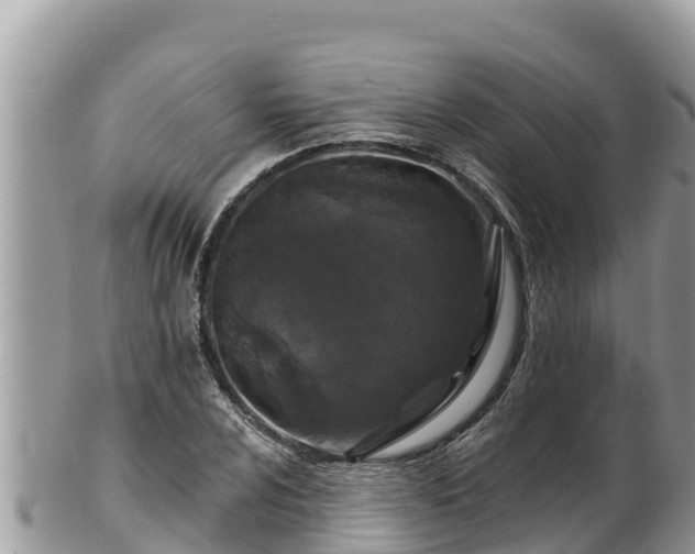 X0000102311024200808011558