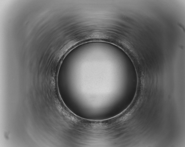 X0000102311025200808011558