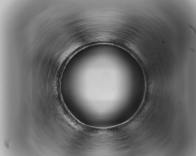 X0000102311026200808011558