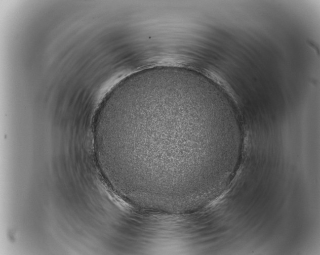 X0000102311027200808011558