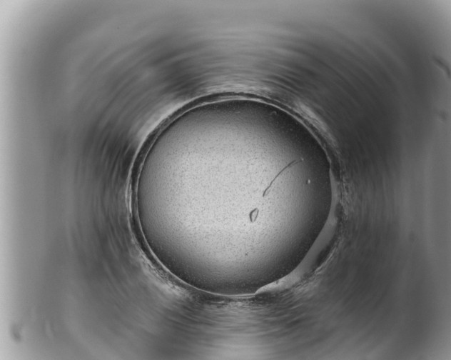 X0000102311028200808011558