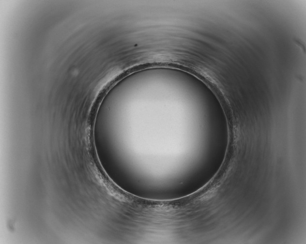 X0000102311029200808011558