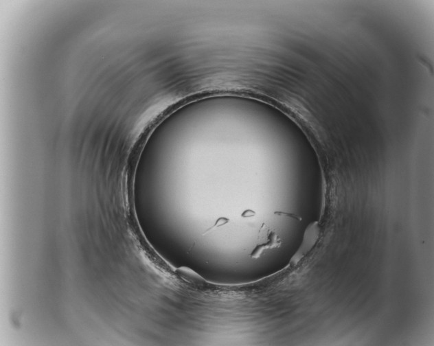 X0000102311030200808011558