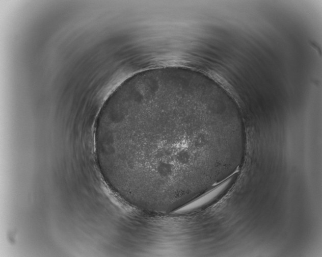 X0000102311031200808011558