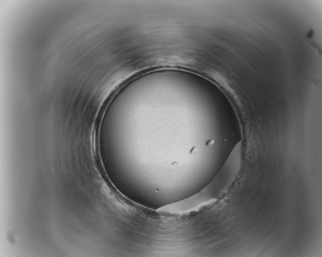 X0000102311032200808011558