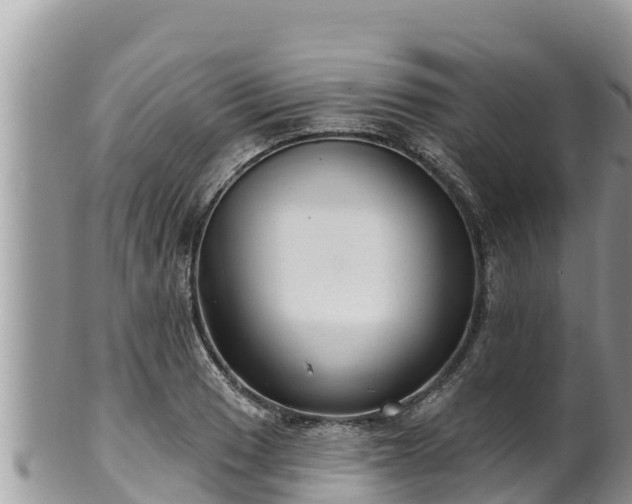 X0000102311033200808011558